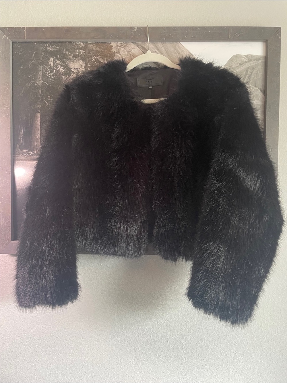 Blank NYC Black Faux Fur Cropped Teddy Jacket